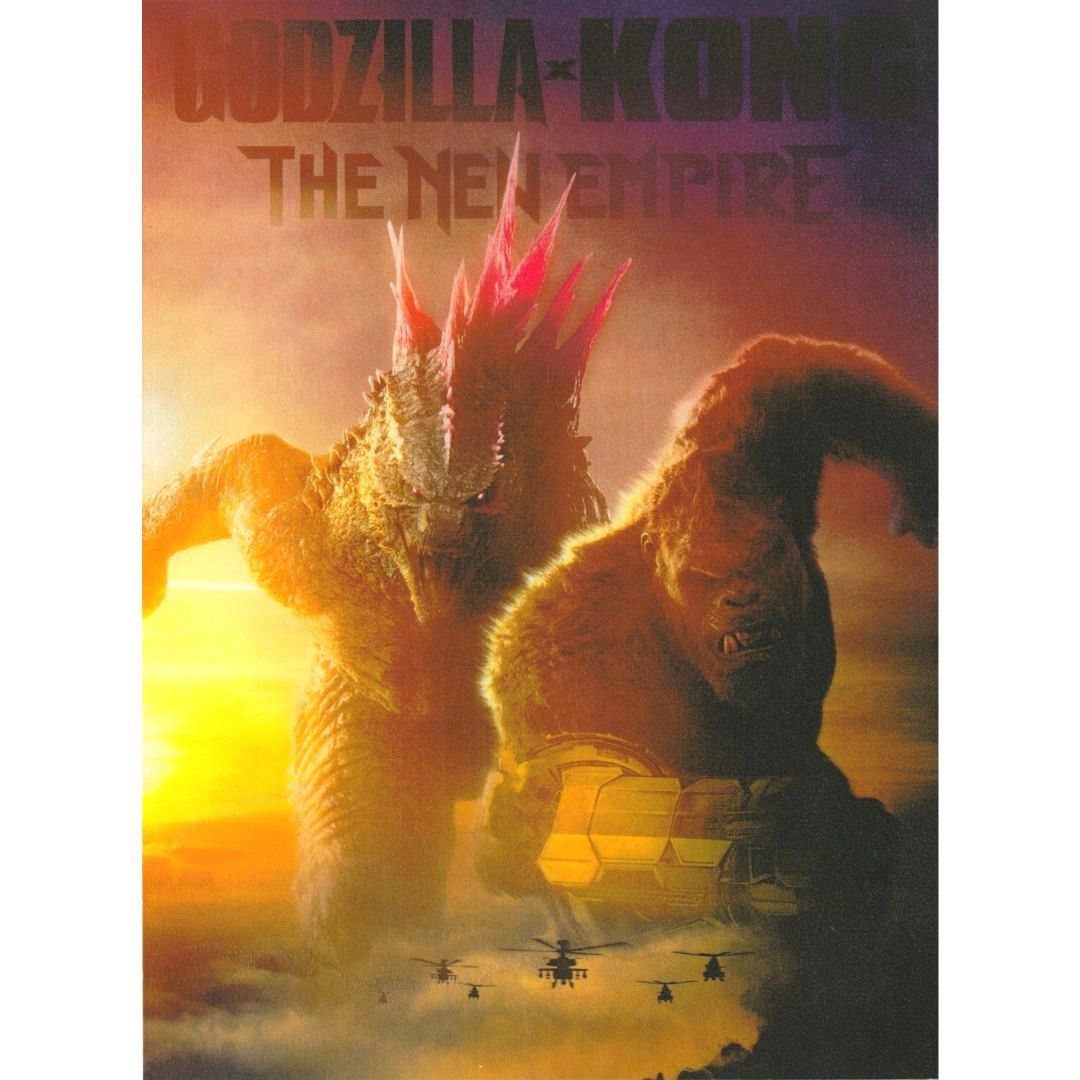 送料無料 】 ゴジラ x コング 新たなる帝国 映画 チラシ 2種