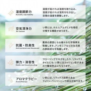 6枚入
