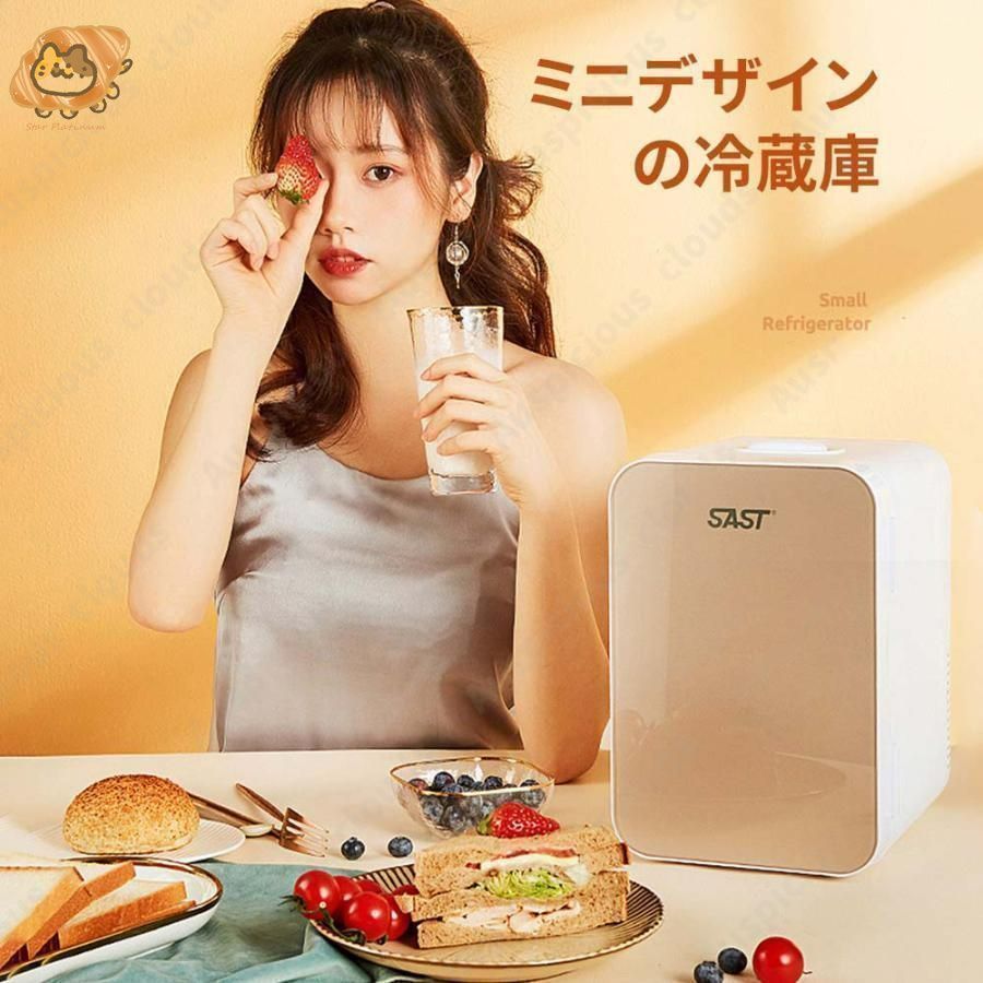 ミニ冷蔵庫 小型冷蔵庫 12L ポータブル冷蔵庫 車載 冷蔵庫 温冷庫 車載家庭両用 一人暮らしれ冷蔵庫 フレッシュボックス 保温 保冷 省エネ
