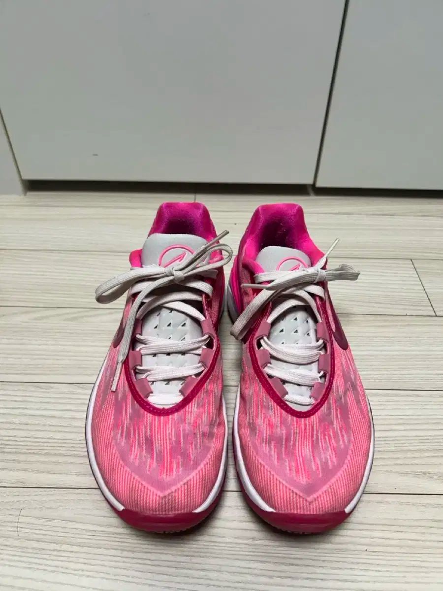 NIKE ナイキ ジティカット 2 ピンク