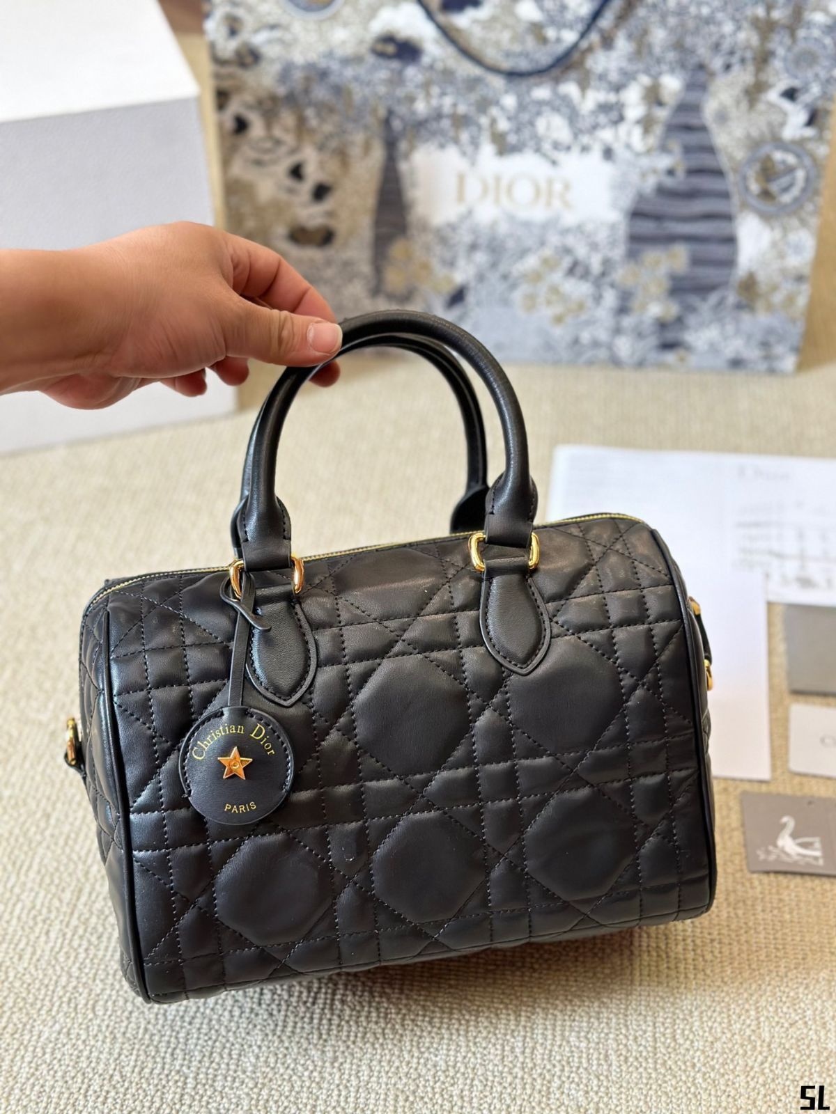 Dior枕バッグ/ハンドバッグ、リュック、小銭入れ、手首バッグ