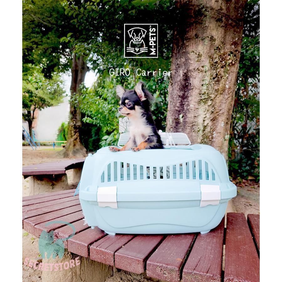 犬 猫