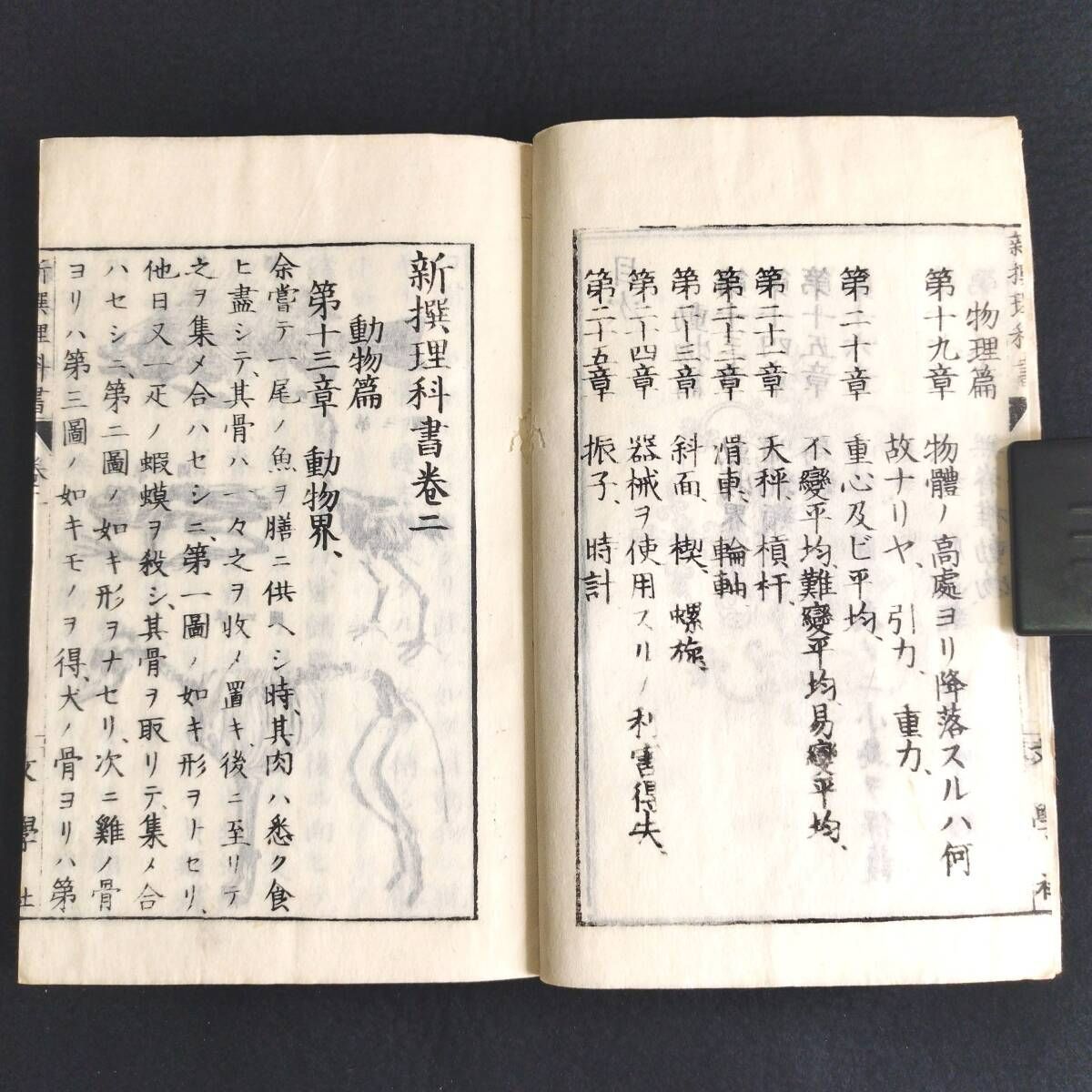 古書　和本　骨董品　浮世絵　時代物 絵入 教科書◇新撰理科書◇生物学 理学 動物 骨格図 虫ほか 明治