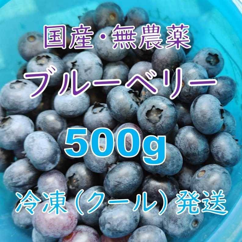 ① 冷凍ブルーベリー 農薬不使用 9kg-