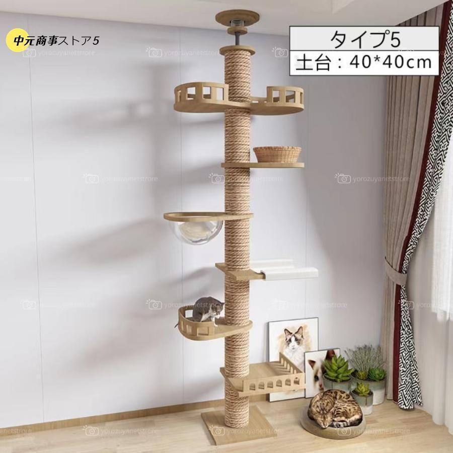 おしゃれ 多頭飼い