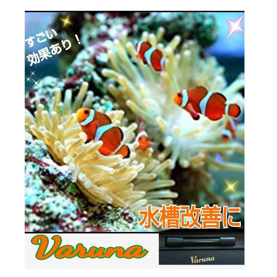 水槽の透明度がアップします!有害物質、感染症も強力抑制☆水 水槽の透明度がアップします!有害物質、感染症も強力抑制☆水