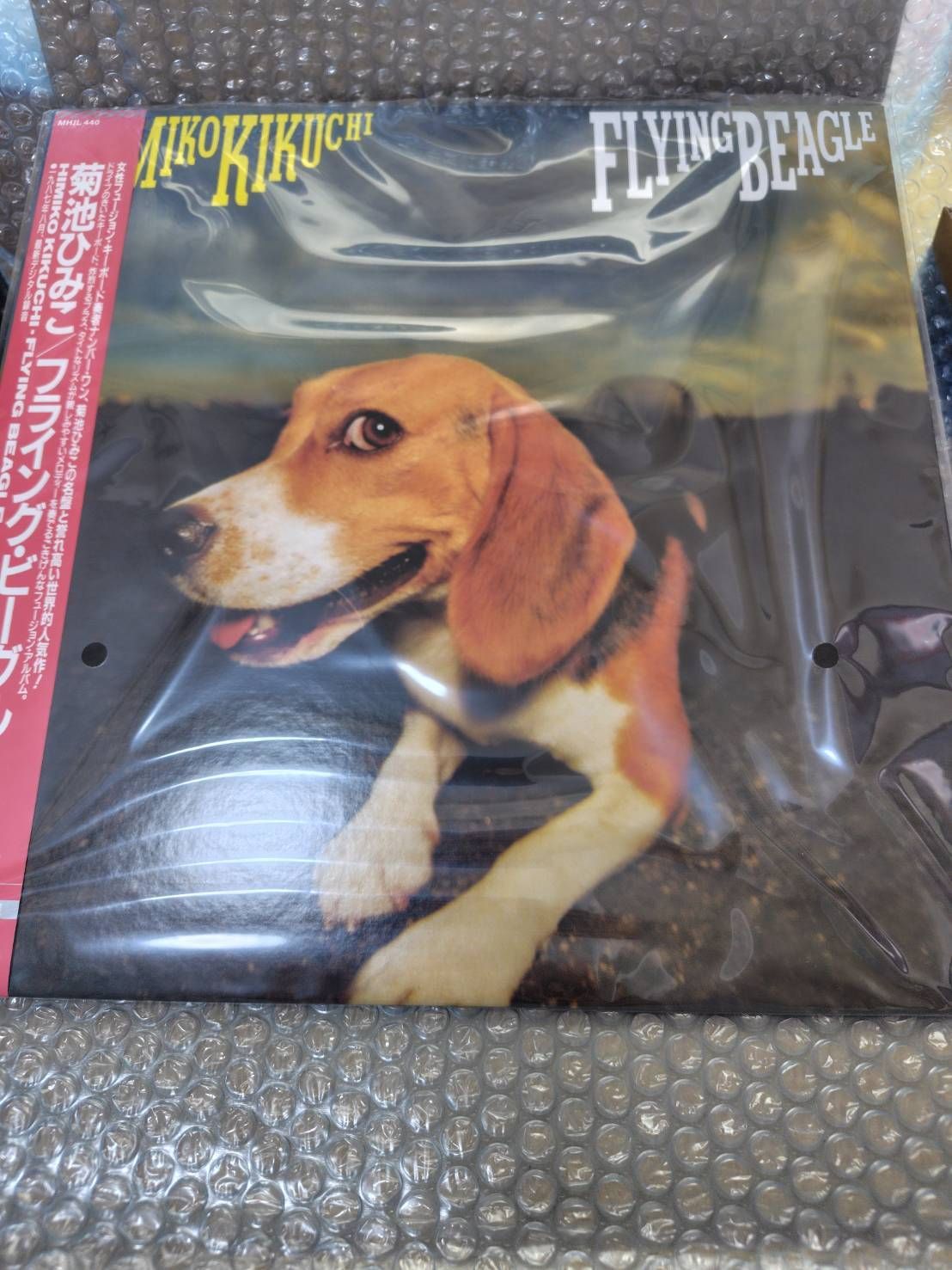 菊池ひみこ FLYING BEAGLE 完全生産限定盤 LPレコード Amazon.co.jp