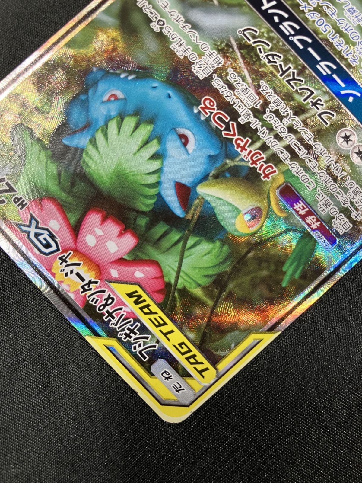 ポケモンカードゲーム ポケカ フシギバナ＆ツタージャGX SR