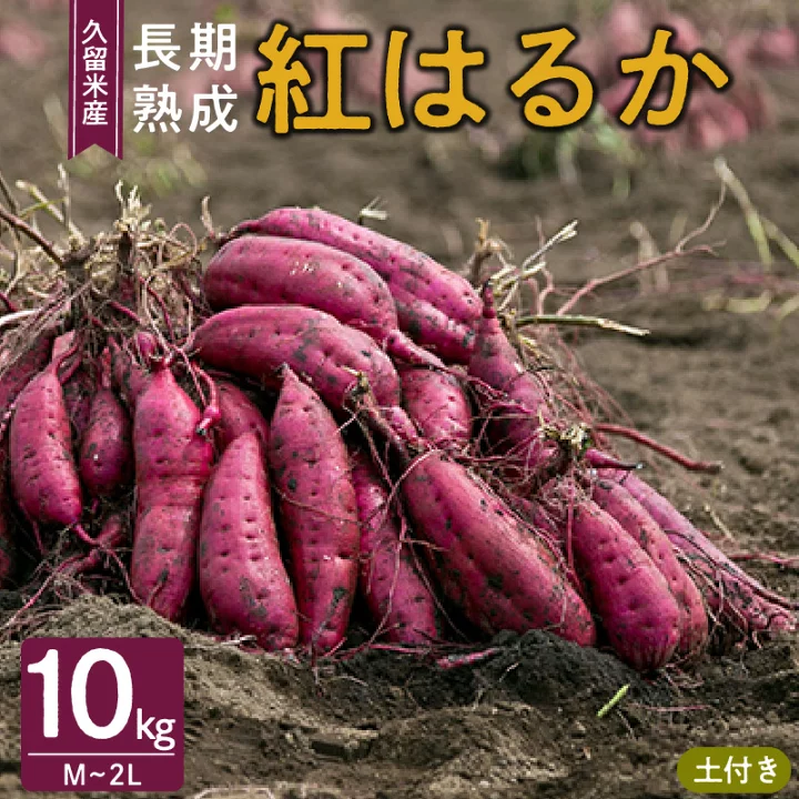 福岡県久留米市産 長期熟成紅はるか  10kg 　2Lサイズ 土付き