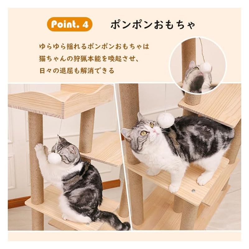 おしゃれ 多頭飼い