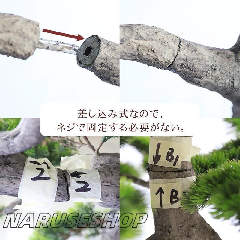 虫害の心配なし