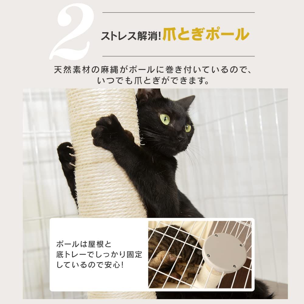 オフホワイト 猫用
