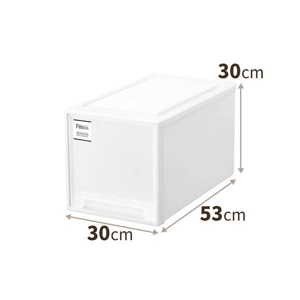 衣類収納 収納ケース クローゼット L-30 ホワイト 2個組 幅30cm キャスター対応 天馬 Fits フィッツケース モノ MARWIL-DEMENAGEMENTS_CH