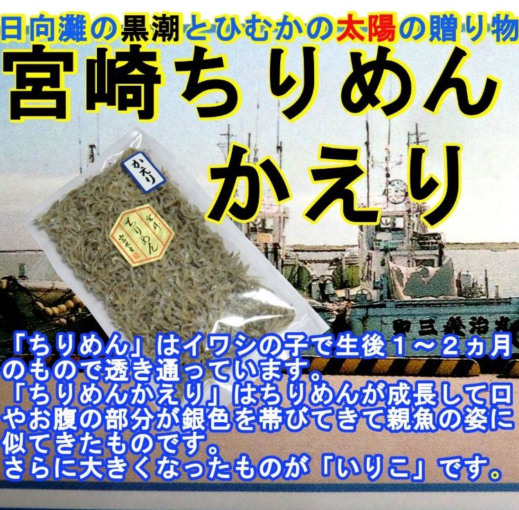 宮崎ちりめん』かえり 100g×3袋 黒潮と日向の太陽の贈物 カルシウムの補給源 ちりめんじゃこ 山西水産 天日干し ご飯のお供 ちりめん かえり -  メルカリ