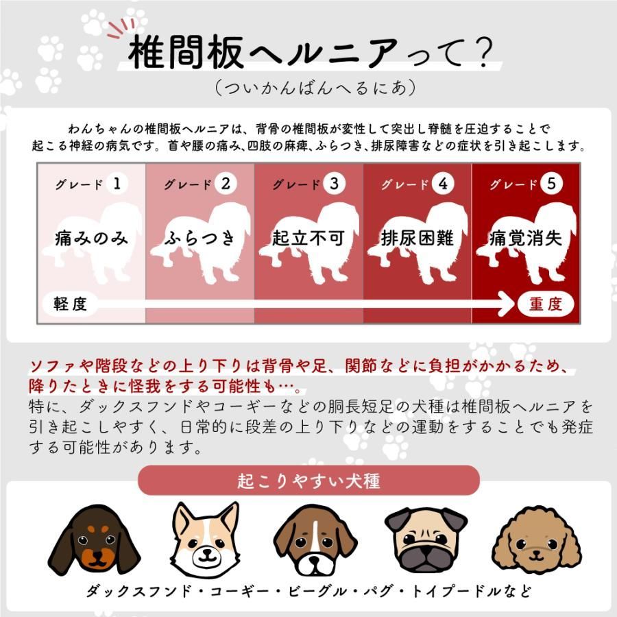 ペットステップ