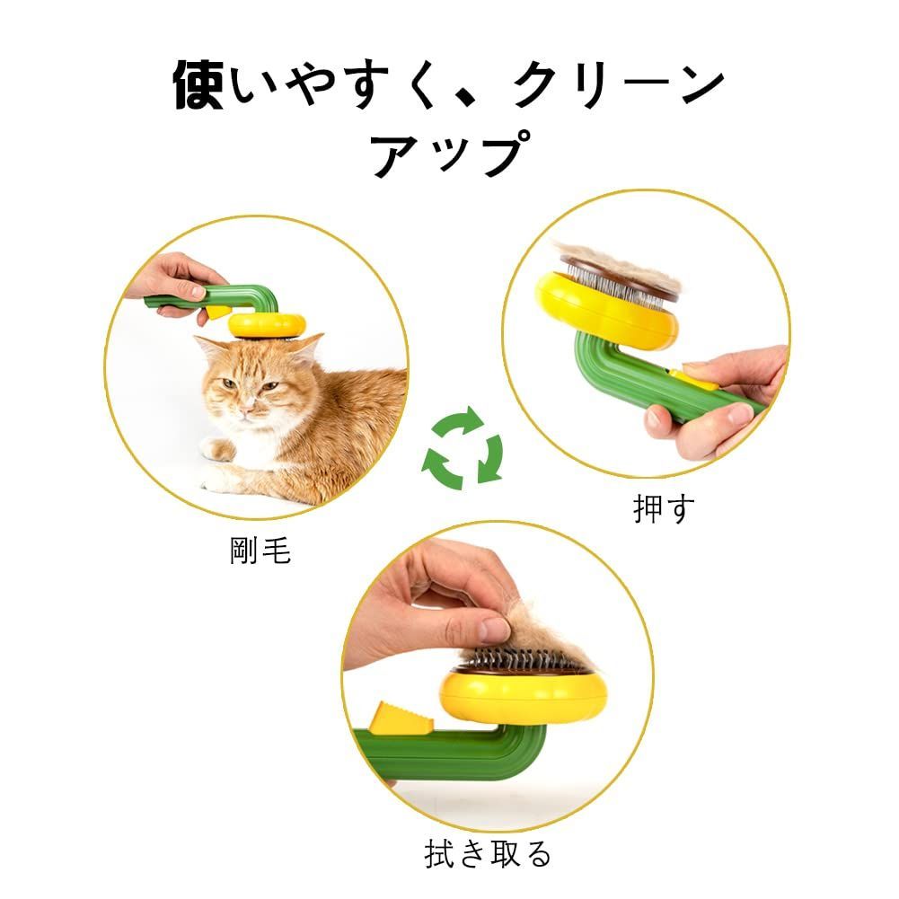 ひまわり猫 予防