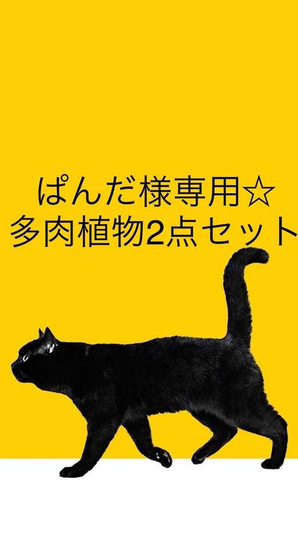 黒猫パンダ様専用 culto.pro