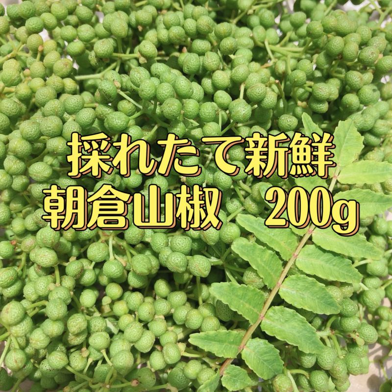 無農薬］山椒の葉 山椒の新芽 花山椒 200グラム-