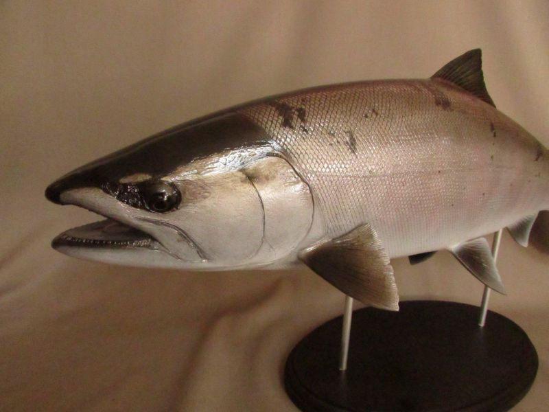 ○ハンドメイド 手作り 46cmイトウ 魚模型 フィギュア