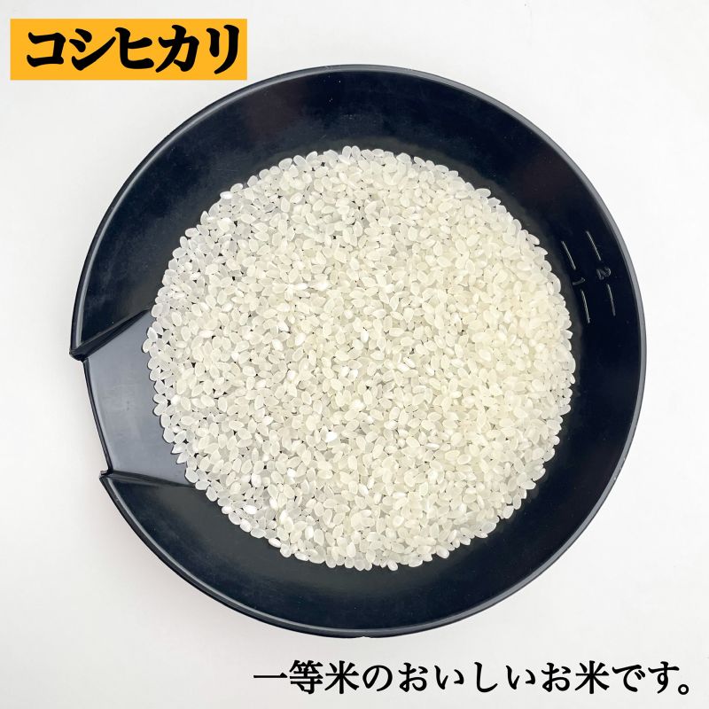 最大66％オフ！ 白米 10kg コシヒカリ 新米 埼玉県産 令和4年産 送料