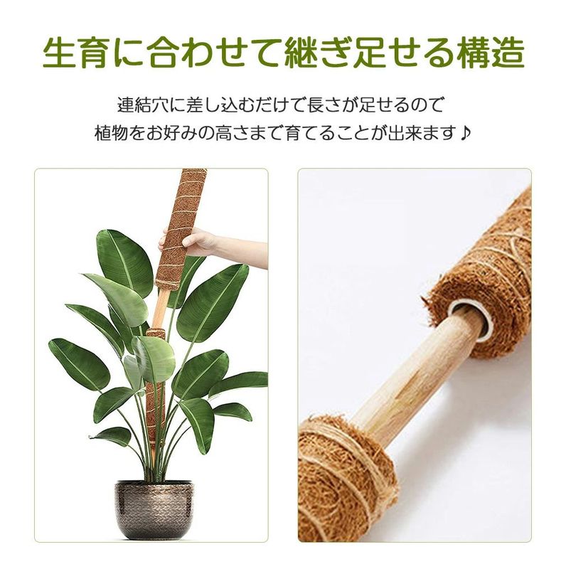 セール価格 モンステラ 支柱 おしゃれ 園芸支柱 植物支柱 ガーデン 蔓 花ささえ 連結 延長 木製 ココナッツ支柱 支え ガーデニング用支柱 観葉支柱  高さ調整