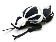 【Insectech Stuffies】ゴライアス・レギウス ぬいぐるみ*注意事項を読んで了承しました