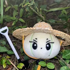 enhypen ジョンウォン ぬいぐるみ 5cm 新品 マスター - メルカリ