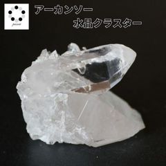 ムーアカイト 象