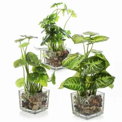 【数量限定】消臭 小さい 水生植物フェイク 卓上 光しょくばい観葉植物 光触媒 光触媒 3点セット 観葉植物 フェイクグリーン ミニ 人工観葉植物 適格請求書発行可 ガラス鉢（四つ叶のクローバー/蓮の葉/クワズイモ) XiaZ