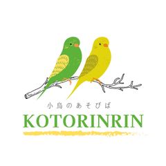 手作り♡♡大きなバードアスレチック♬︎♡ - KOTORINRIN♬︎♡ - メルカリ