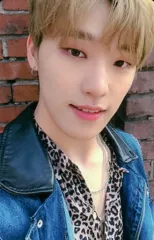 【中古】コレクションカード(男性) SEVENTEEN/DINO(ディノ)/衣装青・豹柄・歯見せ・背景レンガ・裏面白/CD「3RD Album ： An Ode(Real ver.)封入特典フォトカード