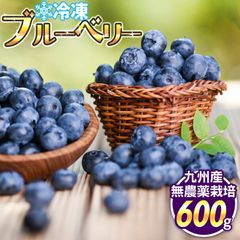 熊本県八代産 冷凍ブルーベリー 600g デザート 【送料無料】 【冷凍便でお届け】 プレゼント ギフト お祝い 誕生日 取り寄せ お中元 お歳暮 母の日 父の日 こどもの日 敬老の日 サプライズ