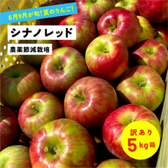 8月13日から8月31日発送 酸っぱい 夏りんご！8月収穫りんご「シナノレッド5キロ箱訳あり品」  農林水産大臣賞 長野県産 安曇野 信州産 産地直送