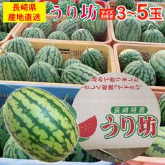 【5月下旬以降から順次ご発送】 送料無料 長崎 長崎県産 すいか スイカ 西瓜 小玉 小玉スイカ うり坊 サイズお任せ 3玉 ～ 5玉 訳あり すいか 長崎すいか ひとりじめ ご自宅用 果物 くだもの フルーツ 訳あり