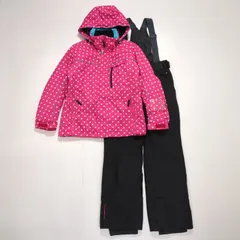 2025年最新】DESCENTE スキーウェア(女性用)の人気アイテム