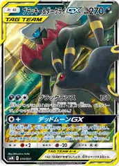 2025年最新】ブラッキー&ダークライ プレイマットの人気アイテム