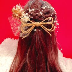 ハーフアップ☆プリザーブドフラワー☆かすみ草☆紫陽花☆卒業式髪飾り☆成人式髪飾り☆前撮り☆袴ヘア☆組紐☆リボン☆パールガーランド