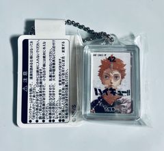 ハイキュー!! コミックチャーム 42巻 ハイキュー