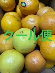 グレープフルーツ（ルビー・ホワイト混合）箱込6.5キロ程度 トルコ産