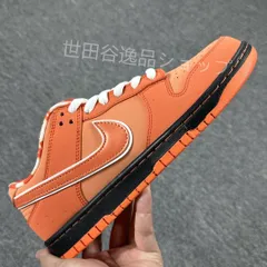 2024年最新】concepts × nike sb dunk low sp 