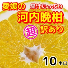 ⭐︎Moriko⭐︎様大玉6キロ徳島神山産青梅