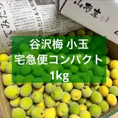 【⭐︎aki⭐︎】山形産 農薬不使用❗️希少在来種 谷沢梅 サイズ混合 5㎏ ⑧ 完全無農薬 山形県産 幻の谷沢梅 5キロ 朝採り新鮮 梅シロップ