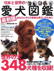 キララの星 コミック 全13巻完結セット (講談社コミックス別冊