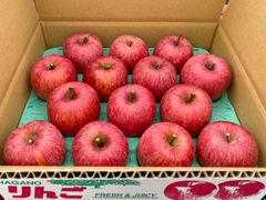 信州産「赤田の家」サンふじ　贈答用14個入り5k箱
