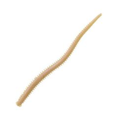 Item thumbnail for item 3b90fd6f-826c-41d5-8359-2e03339892a0