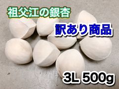 愛知県祖父江産　銀杏　訳あり商品　500g