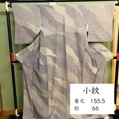 しょうざん 生紬 御所解 訪問着 紋なし 身幅広め - メルカリ