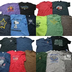 古着卸 まとめ売り カラーmix プリント 半袖Tシャツ 20枚セット (メンズ 2XL /3XL ) キャラクター スヌーピー プロチーム 中古 古着 MT6226