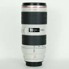 2025年最新】Canon EF 300mm f2.8 L USMの人気アイテム - メルカリ
