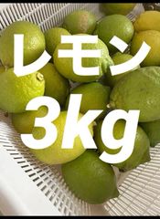 【農薬不使用】和歌山県産　レモン（グリーン、イエロー）　3kg
